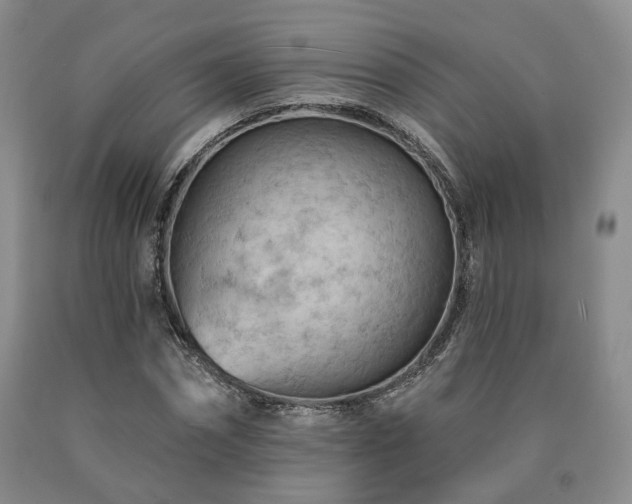 X0000090890874200707271330