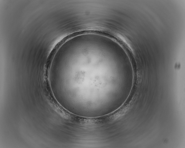 X0000090890875200707271330