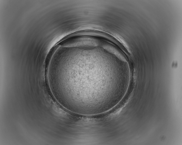 X0000090890877200707271330