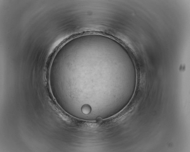 X0000090890878200707271330