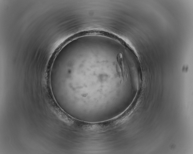 X0000090890879200707271330