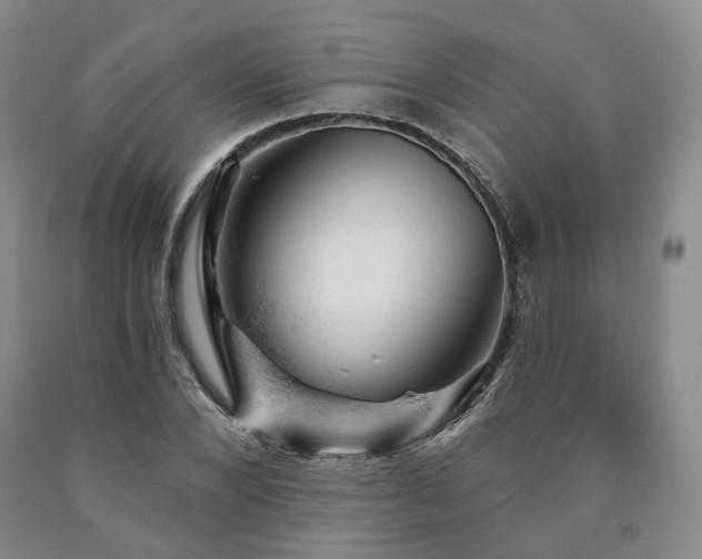 X0000090890880200707271330