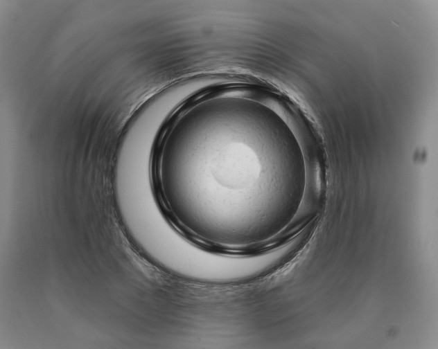 X0000090890881200707271330