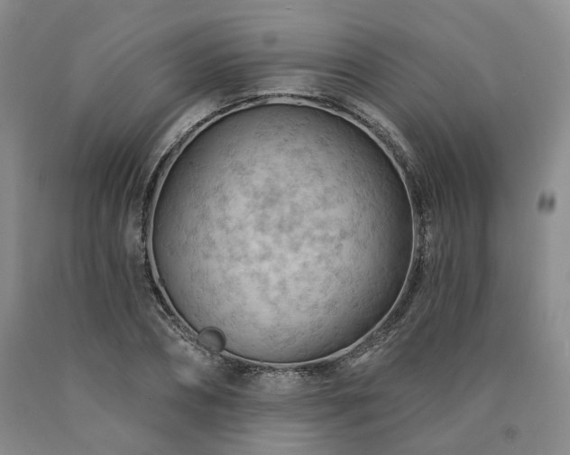 X0000090890882200707271329