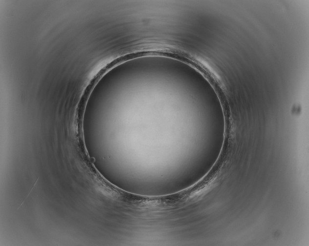 X0000090890883200707271329