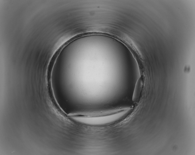 X0000090890884200707271329