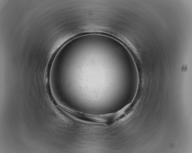 X0000090890885200707271329