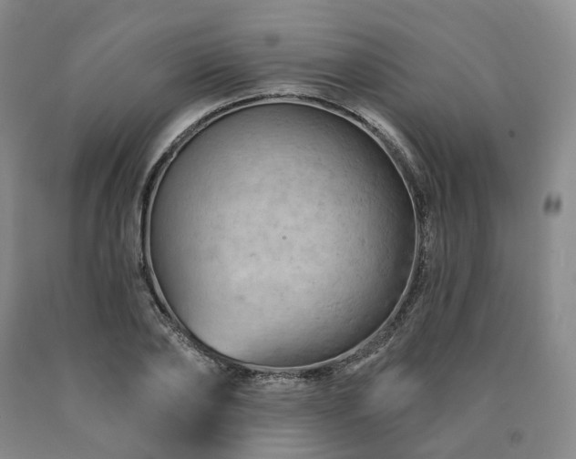 X0000090890886200707271329