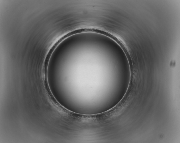 X0000090890887200707271329