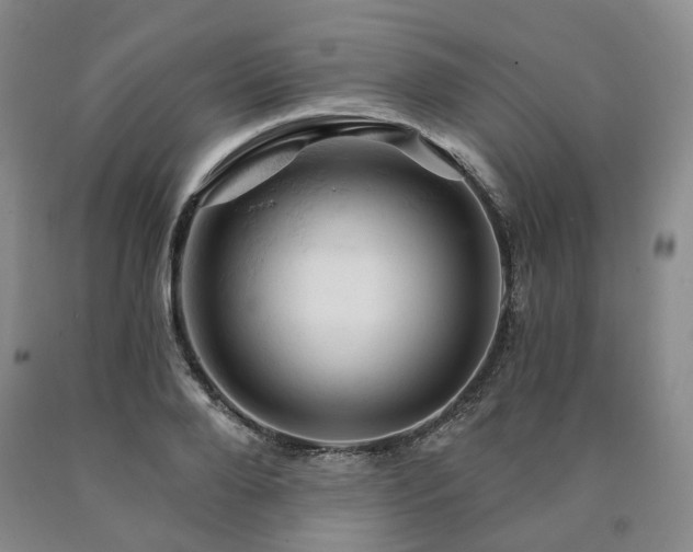 X0000090890888200707271329