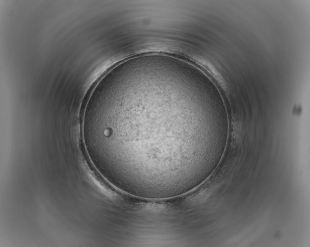 X0000090890890200707271329