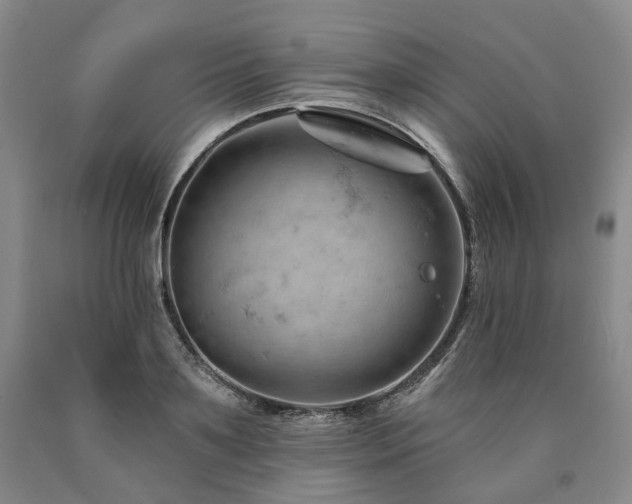 X0000090890891200707271329