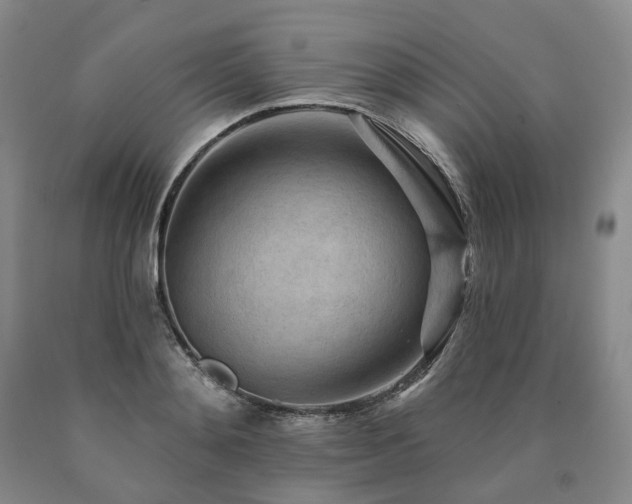 X0000090890892200707271329