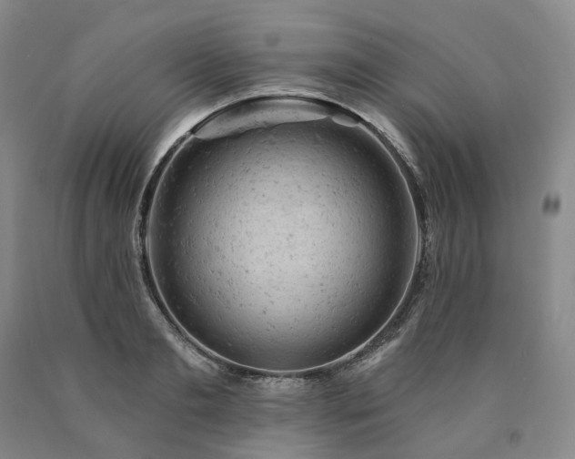 X0000090890893200707271329