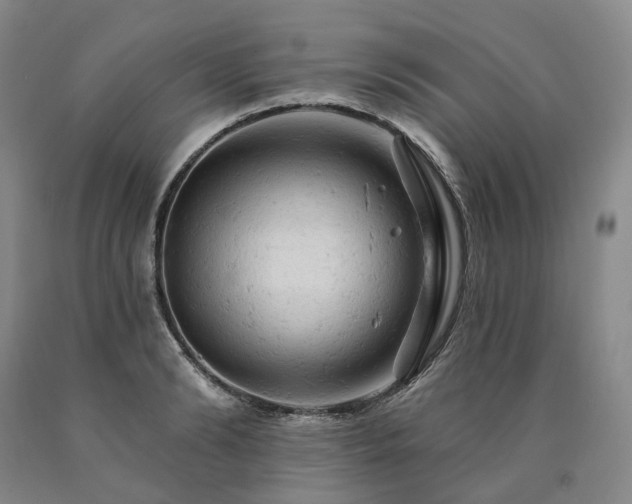 X0000090890894200707271329