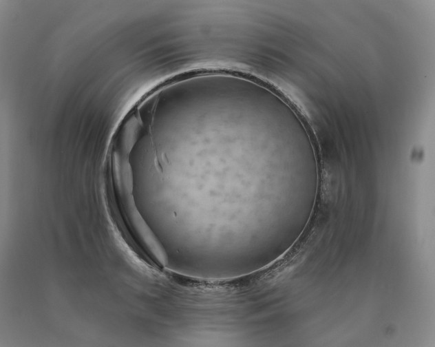 X0000090890895200707271329