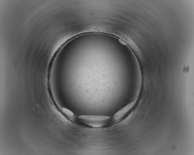 X0000090890896200707271329