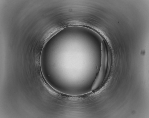 X0000090890897200707271329