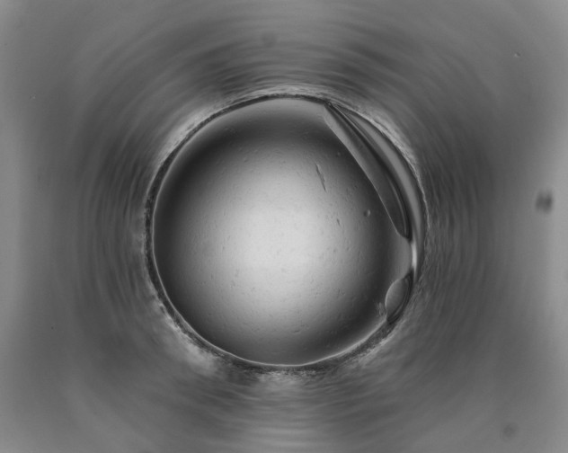 X0000090890898200707271329