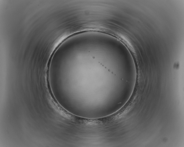 X0000090890899200707271329