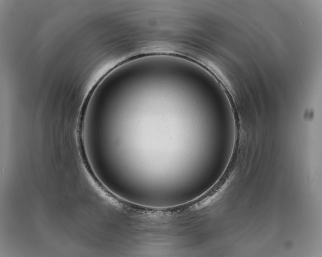 X0000090890901200707271329