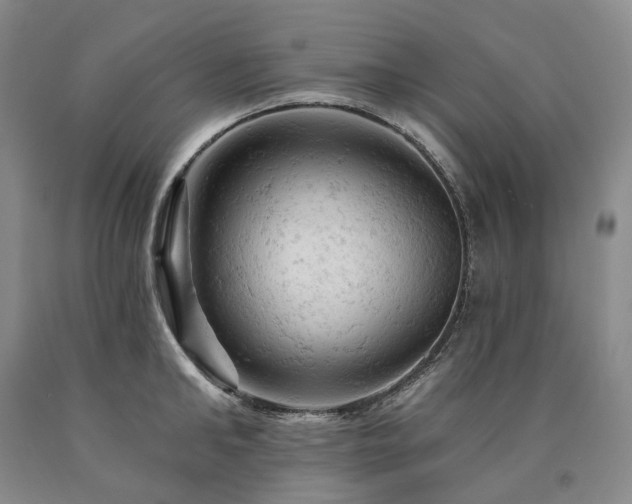 X0000090890902200707271329