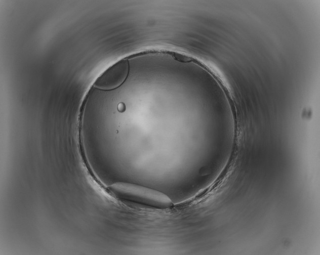 X0000090890903200707271329