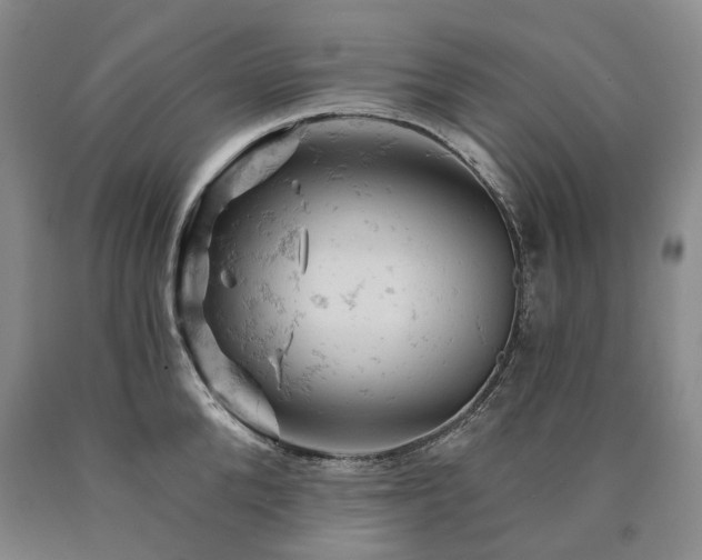 X0000090890904200707271329