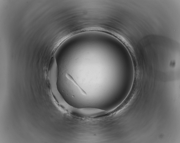 X0000090890905200707271329