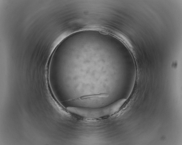 X0000090890907200707271329