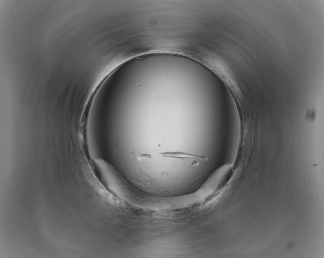 X0000090890908200707271329