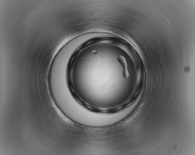 X0000090890909200707271329