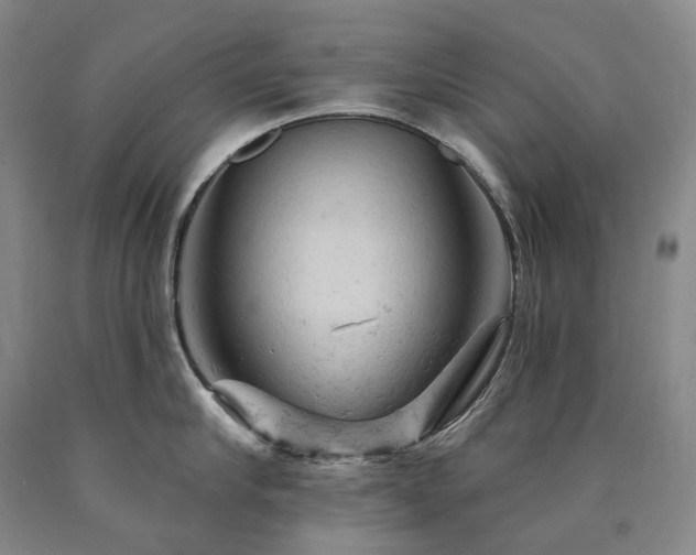 X0000090890910200707271329