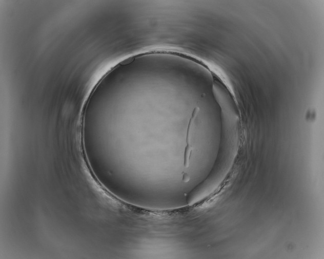 X0000090890911200707271329