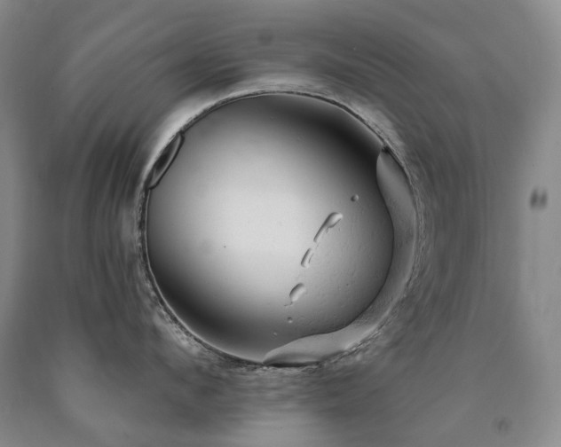 X0000090890912200707271329