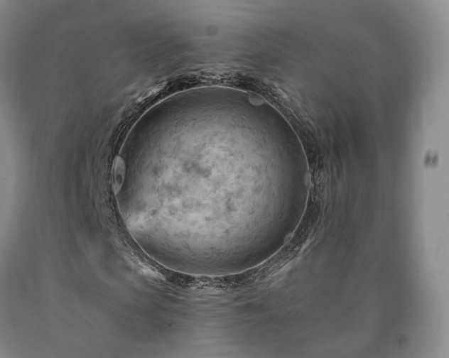 X0000090890913200707271329