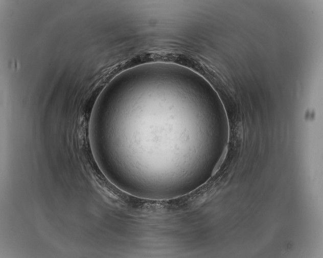 X0000090890914200707271329