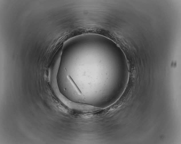 X0000090890916200707271329