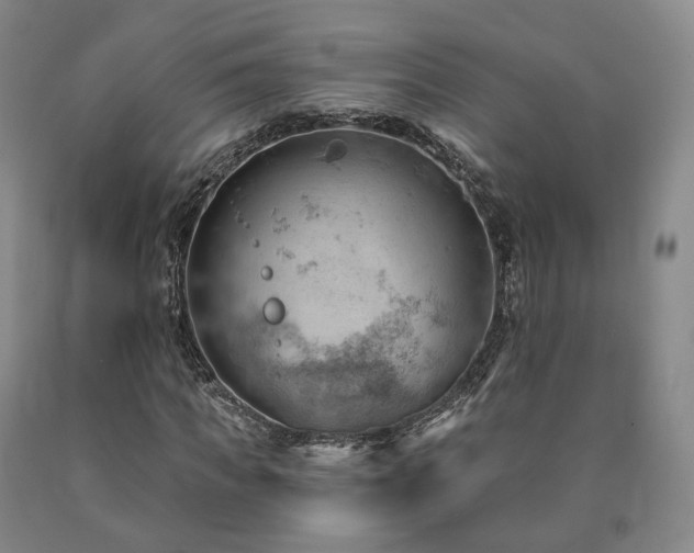 X0000090890917200707271329