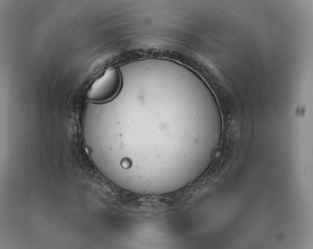 X0000090890918200707271329