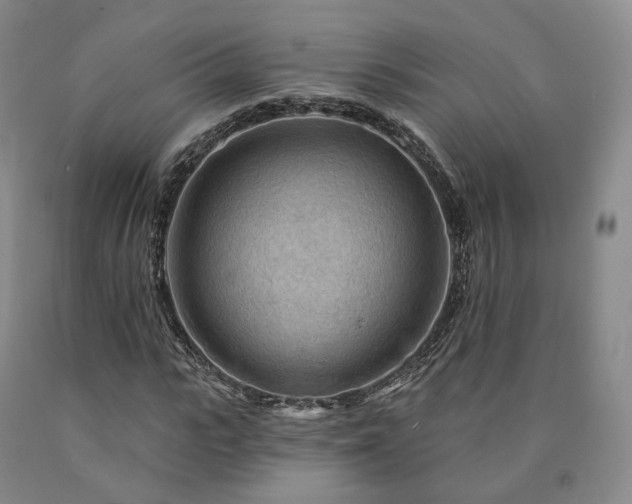 X0000090890919200707271329