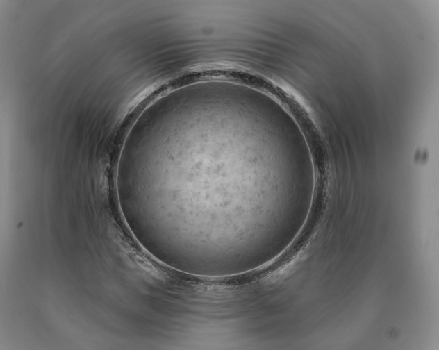 X0000090890921200707271329