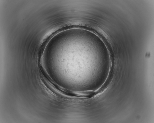 X0000090890922200707271329