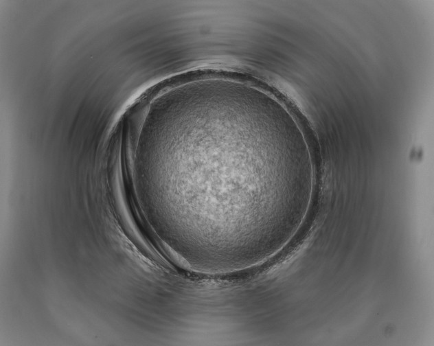 X0000090890923200707271329