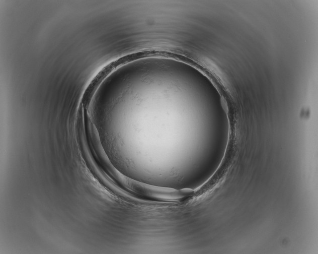 X0000090890924200707271329