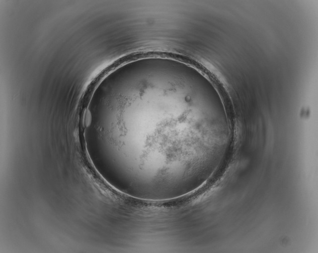 X0000090890925200707271329