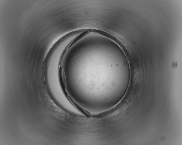 X0000090890926200707271329