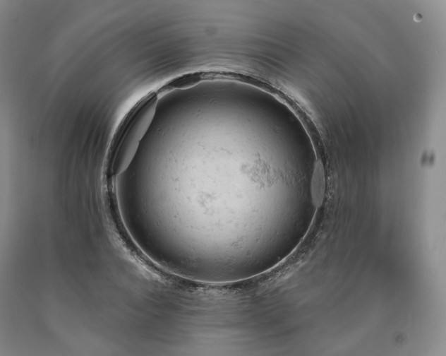 X0000090890928200707271329