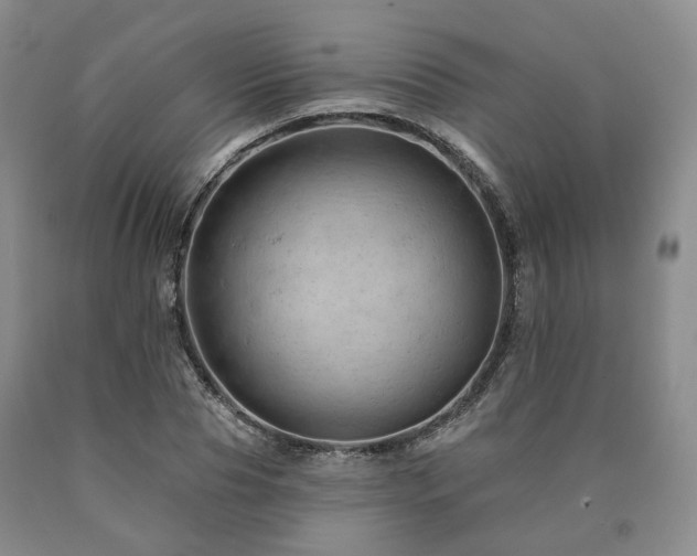 X0000090890929200707271329