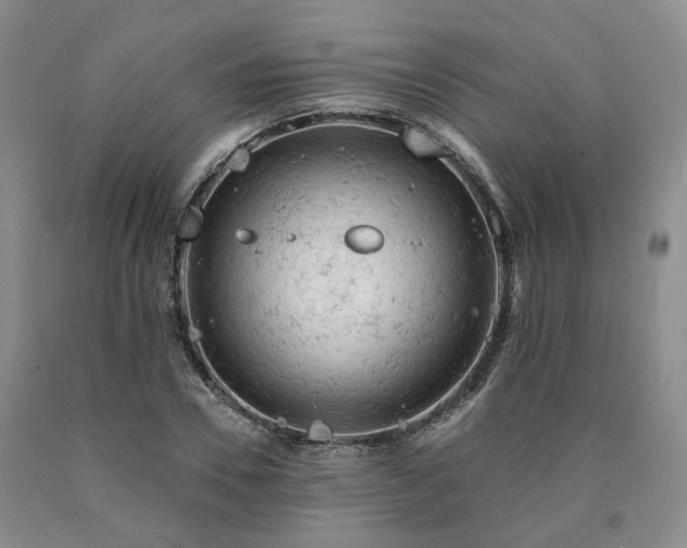 X0000090890930200707271329